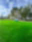 42998a16-f4b1-4c18-9fc9-4d39b25ce5e6.jpg