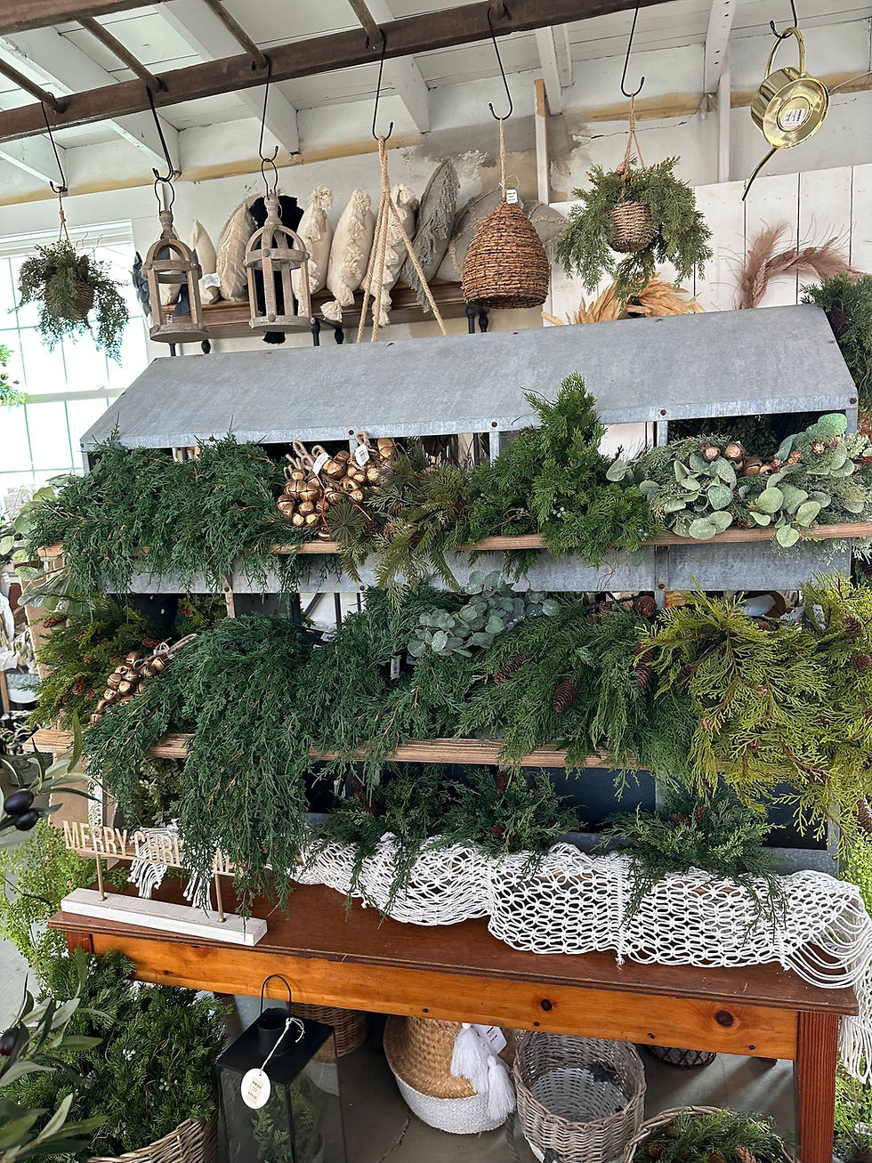 christimas greenery in Mount Hope Market