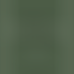 Chocolate chip cupcakes