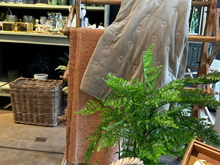 4 Easy Ways to Make Your Home Feel Cozy & Collected