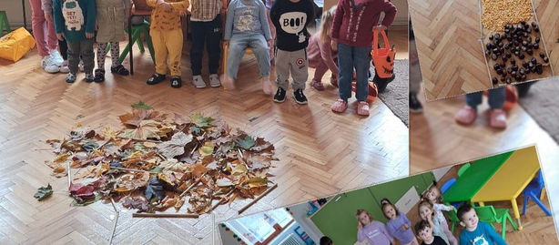 Education for the environment