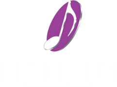 NotorietyLogo_Silver with white (4).png