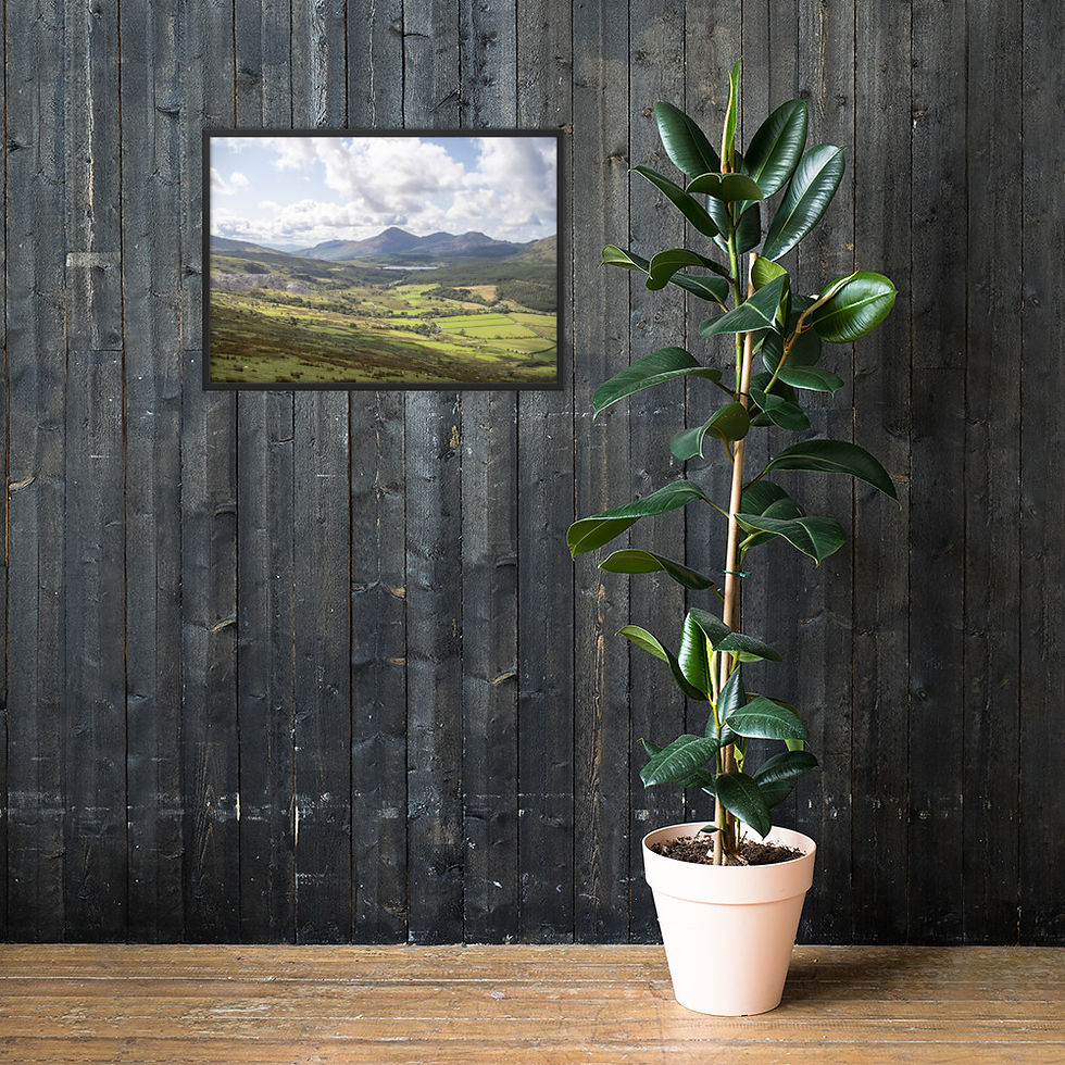 Thumbnail: Framed matte paper poster