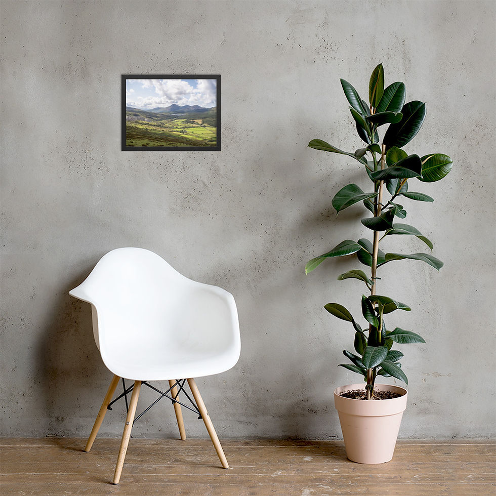Thumbnail: Framed matte paper poster