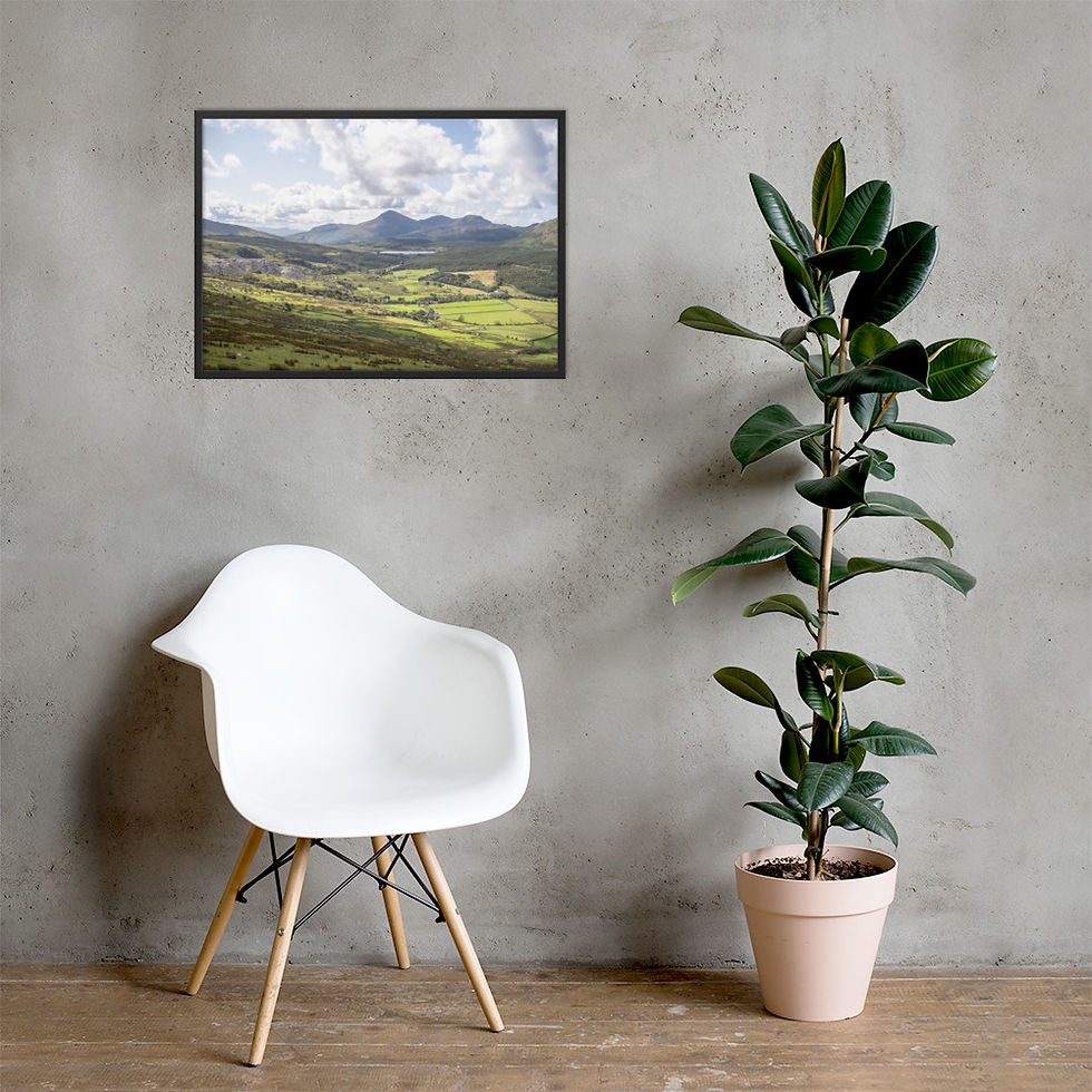 Thumbnail: Framed matte paper poster