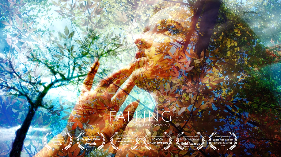 FALLING  POSTER HORIZONTAL.png