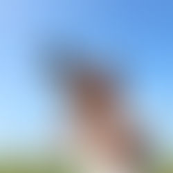 The Skinny on Laser Laws in Australia - Handheld Lasers