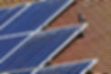 Pigeon on dirty solar panels