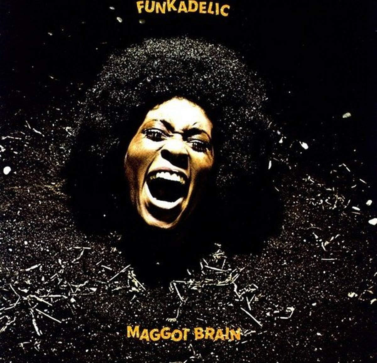 Funkadelic-Maggot Brain