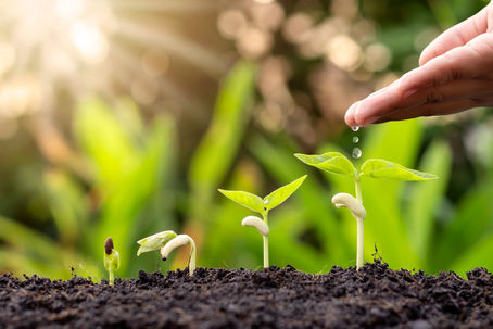 7 Effective DEI Hiring Strategies to Implement in Your Startup Today