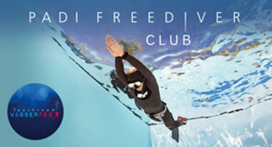 Freediver-Club