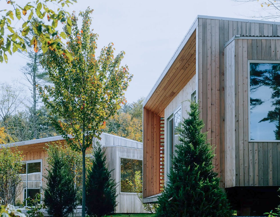 Modern wooden prefabricated homes nestled in a forest.