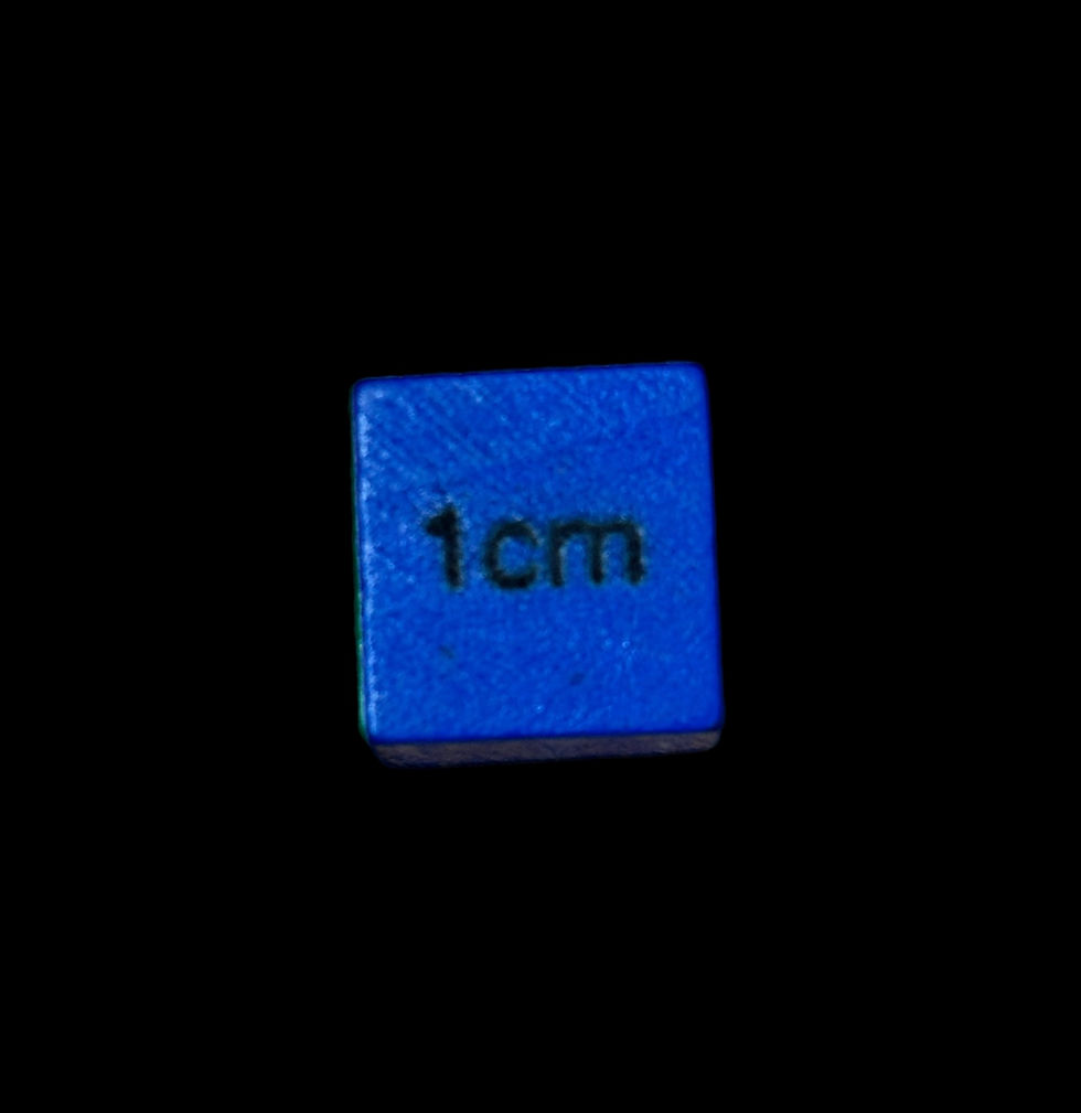 Thumbnail: Scale Blocks (1 Square Centimeter)