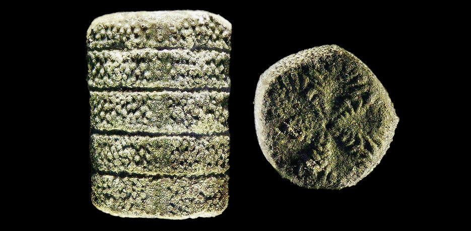 Isocrinus legeri crinoid, a fossil echinoid of the Gault clay shown on www.folkestonefossils.co.uk