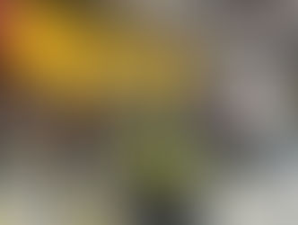 A group of people listening to a speaker in a workshop