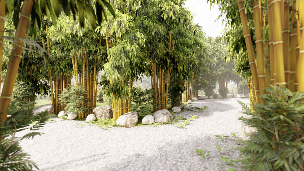 Cuyambay Bamboo Forest