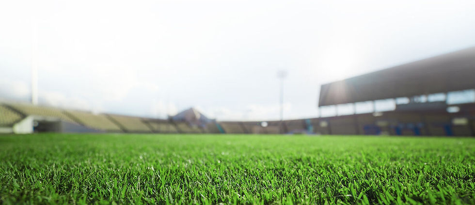 hero_sportsturf_5_6c0c164bd2b597ee32b68b8b5755bd2e.jpeg
