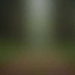 My CFS Recovery Story