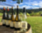 USA WINE