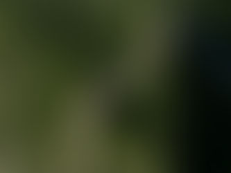 Un camino de las sierras a los llanos del noroeste con magníficas vistas