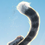 Thumbnail: Vertical Hunt