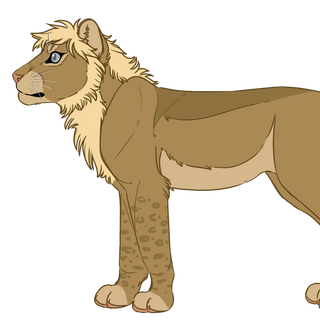 roiturnaround1.png