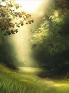 Forest Light