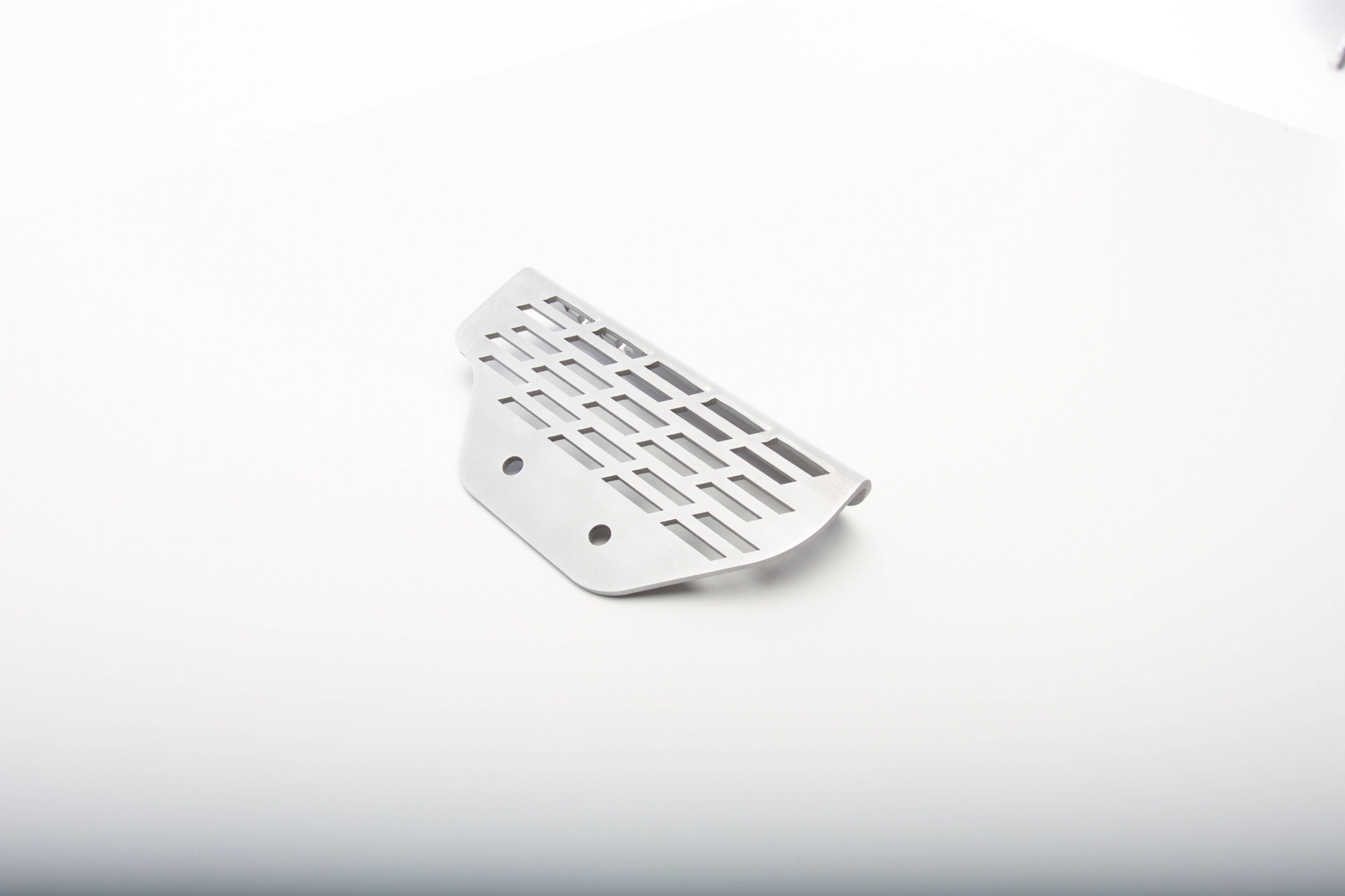 Royal Enfield HIMALAYAN 400 Hauptbremszylinderschutz