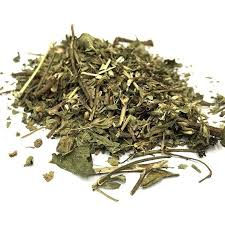 ARNICA SILVESTRE FOLHA