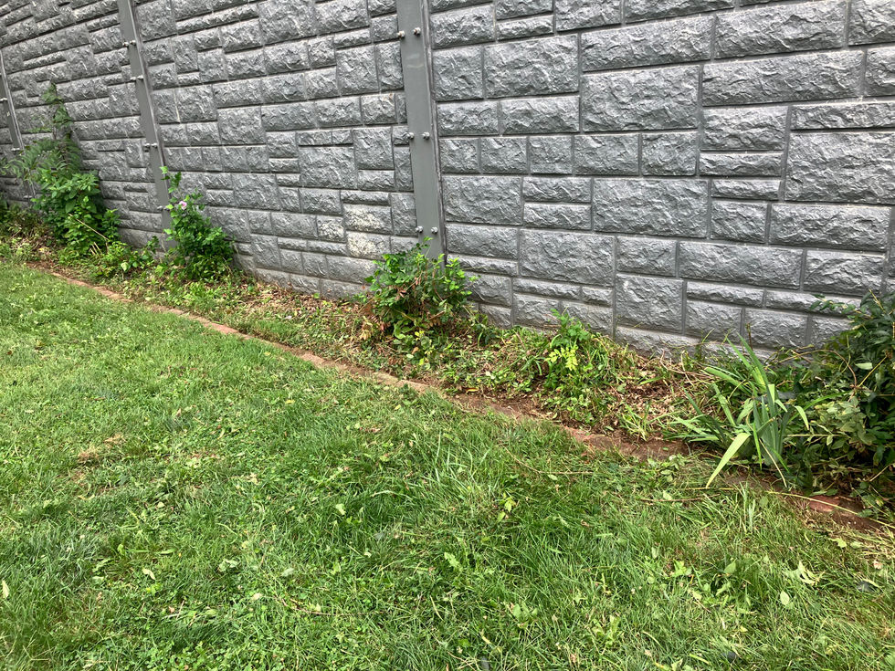 brush removal and edging