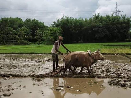 হেঁপাহৰ শাওণত, পিতাইলৈ 
