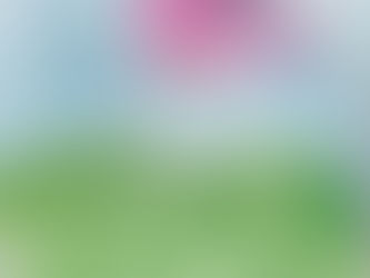 অকণিৰ ছবি