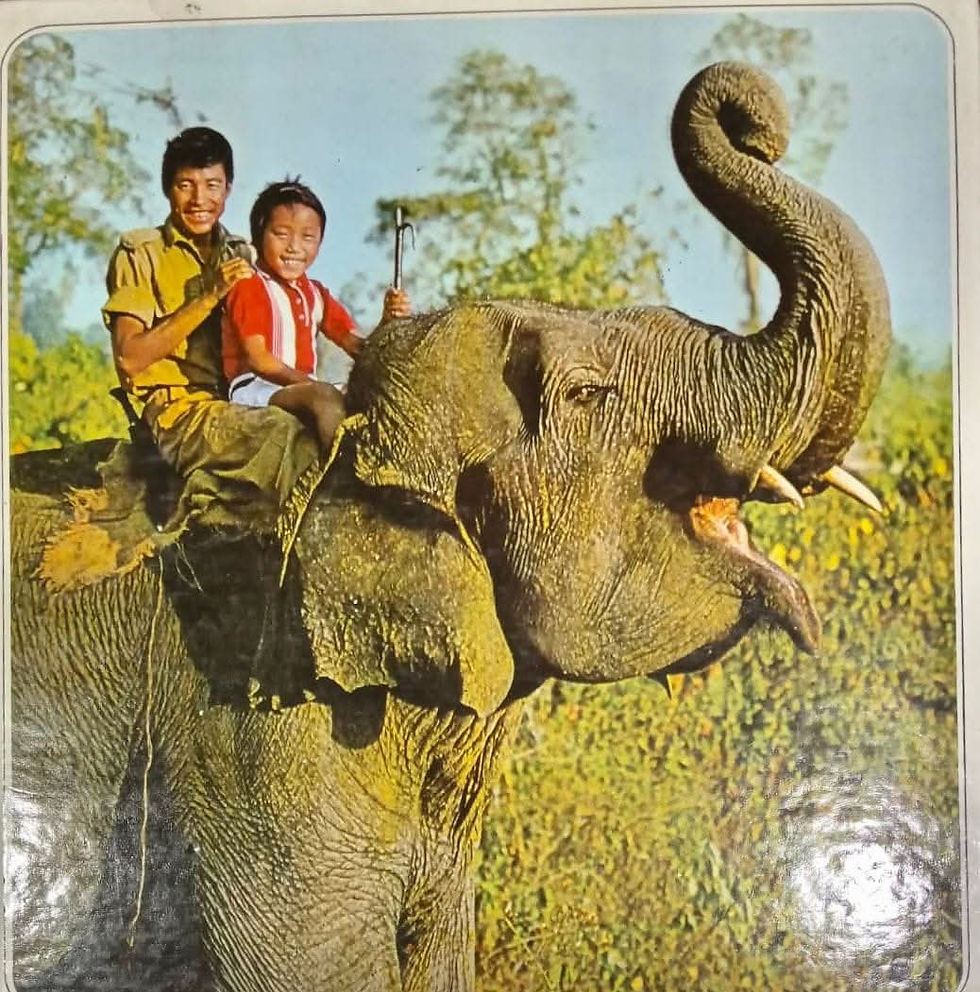 Astrid Bergman Sucksdorff Tooni The Elephant Boy