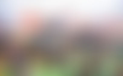 GTCO Food and Drink Festival Welcomes Chef Jennifer!