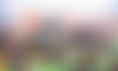 GTCO Food and Drink Festival Welcomes Chef Jennifer!