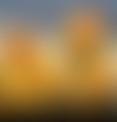 You Deserve this Pimento Cheese Spoonbread Recipe!