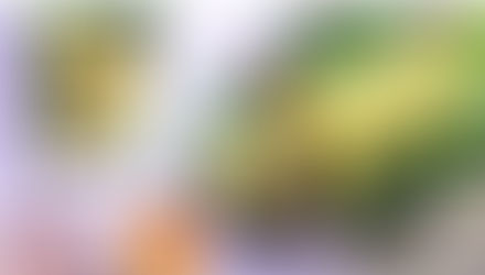 Brighten Your Breakfast with this Easy Spring Omelet Roll!