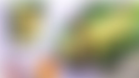 Brighten Your Breakfast with this Easy Spring Omelet Roll!