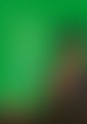 Whole Roasted Red Snapper