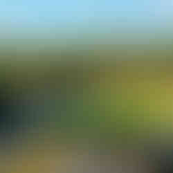 Dunas Course Terras da Comporta