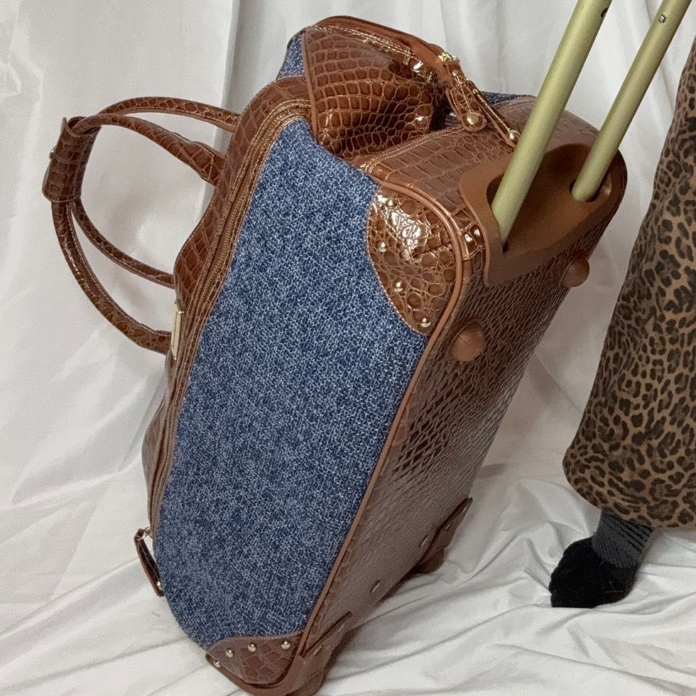 Thumbnail: Samantha Brown Over Night Bag