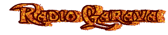 logo1