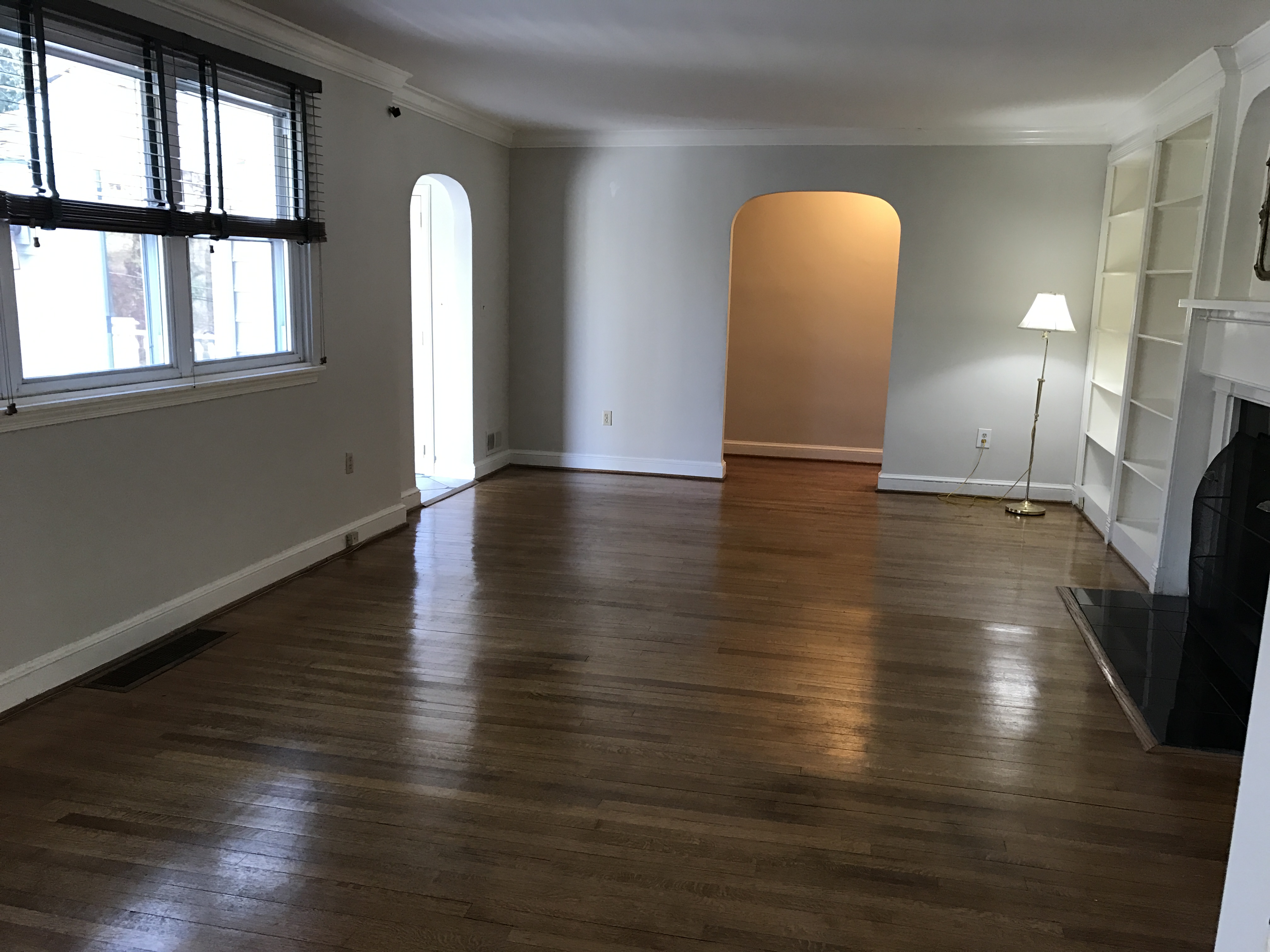 Living Room BEFORE