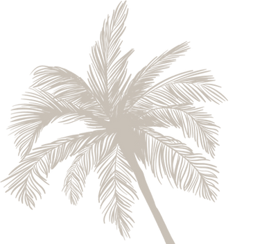 Palm Beige.png