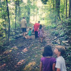 Woodland hike