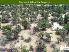 Southeast Side of the Property.jpeg