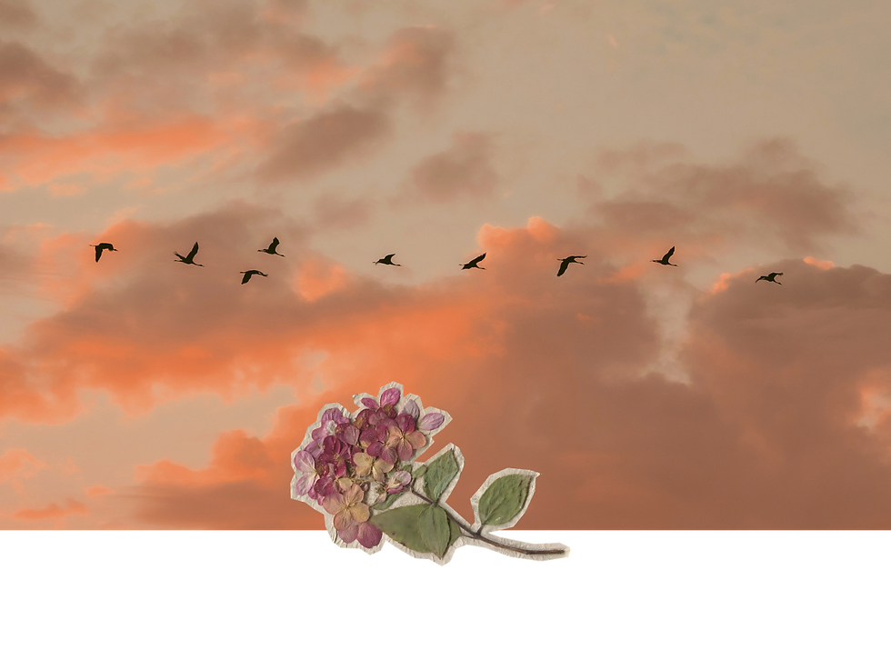 faith.png
