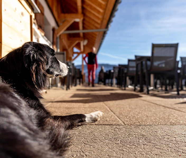 Baille a Berre (2023-02-03)-75.jpg