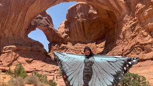 Butterflies
