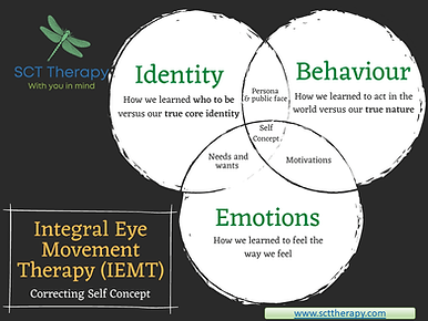 Integral Eye Movement - Self Concept